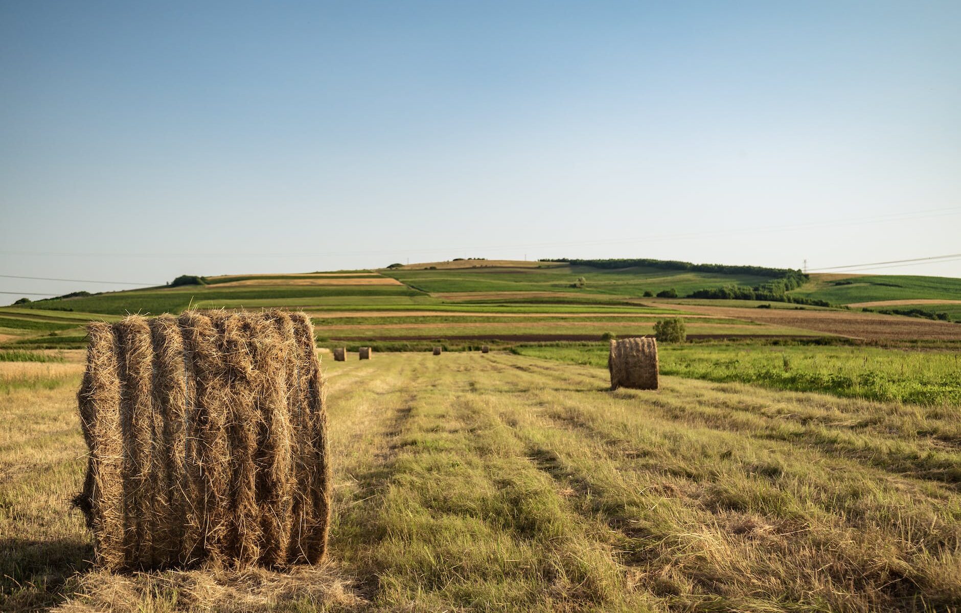 photo of hay rolls on grass field